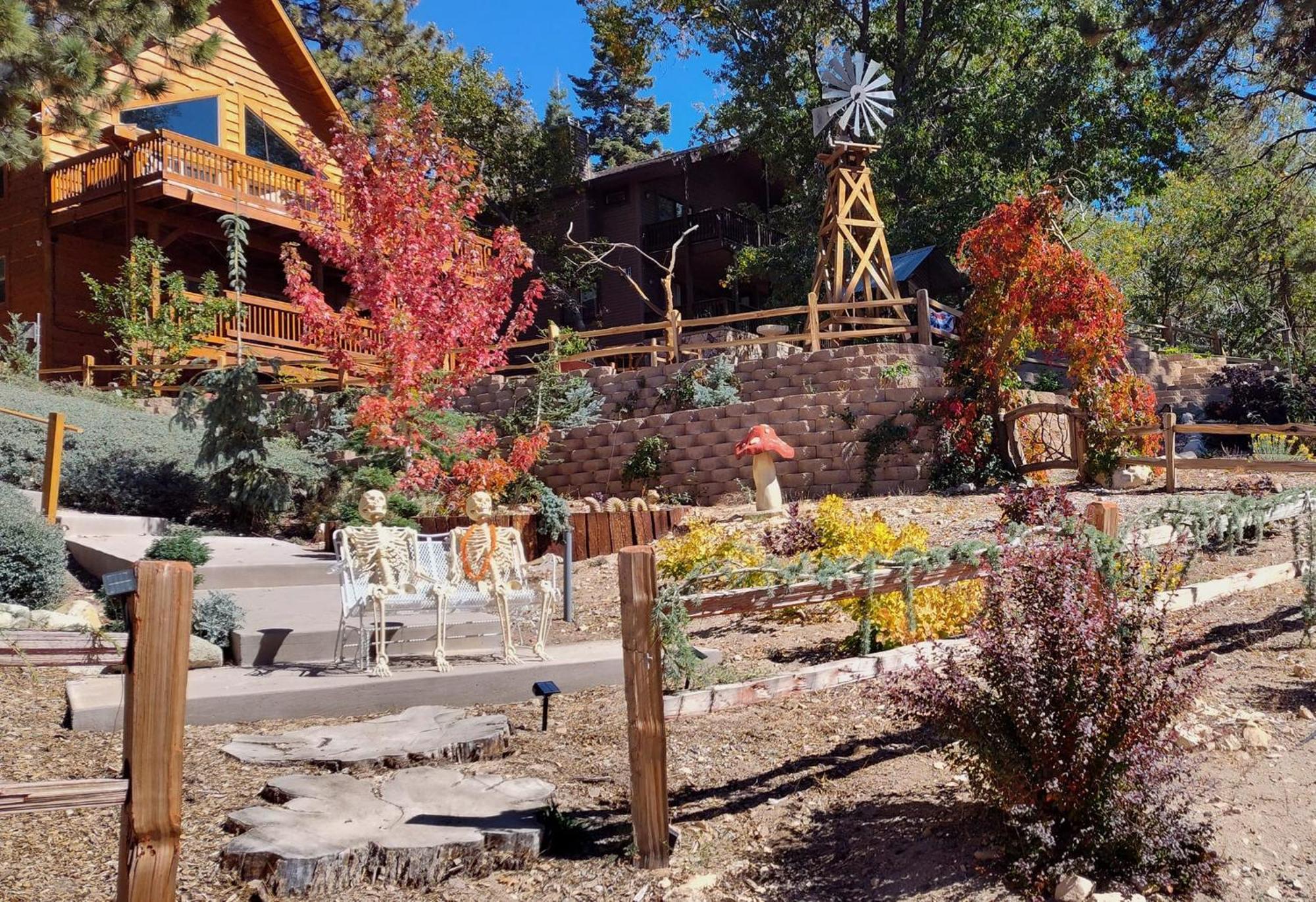 Snow Bunny Cottage, Pets Welcomed! Green Valley Lake Buitenkant foto