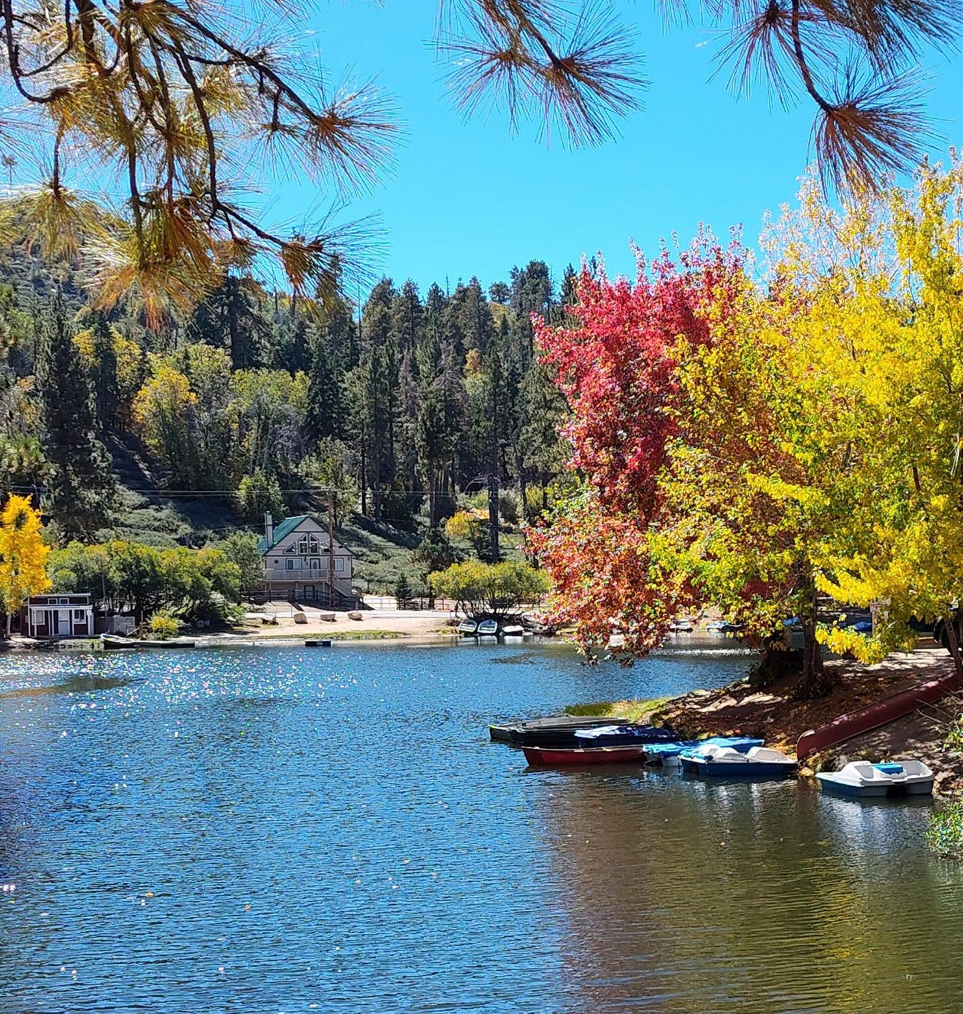 Snow Bunny Cottage, Pets Welcomed! Green Valley Lake Buitenkant foto